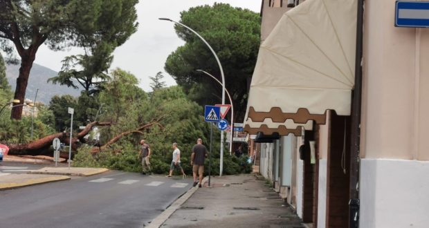 Maltempo alberi caduti e disagio in città Terni Life