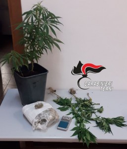 MARIJUANA NARNI 16.06.2018